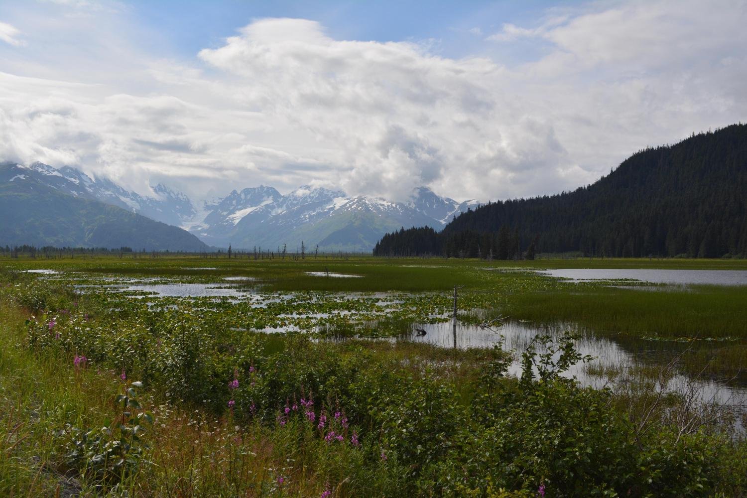 Adventure ​Awaits: Exploring⁢ Alaskas ​Natural Wonders