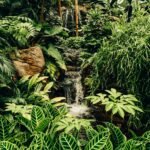 green plants and trees near water falls