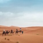 people riding on camel