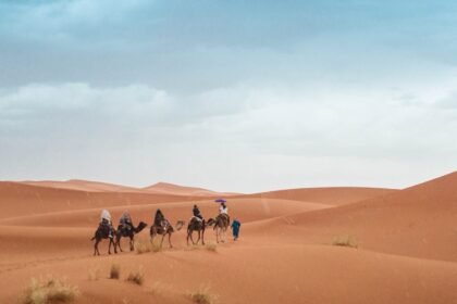 people riding on camel