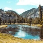 forest and body of water during day