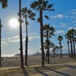 the sun is shining through the palm trees on the beach