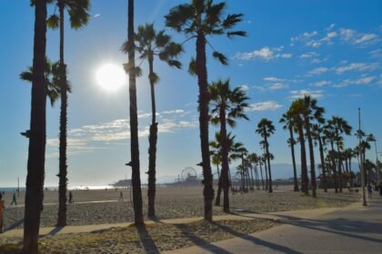 the sun is shining through the palm trees on the beach