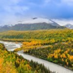 river beside forest under bright sky